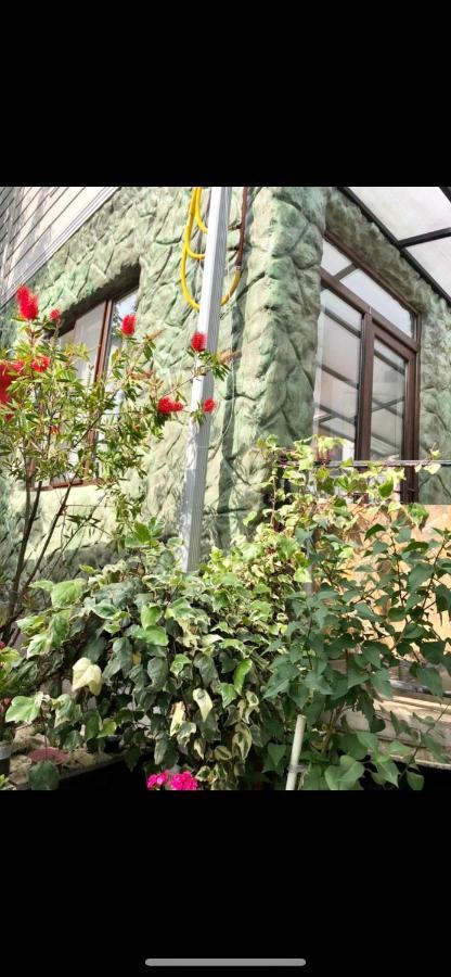 Appartement Papillon à Chakvi Extérieur photo